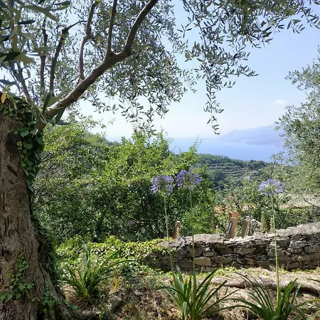 Holiday In Near Portofino - Casaviva *