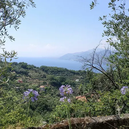 Holiday In Near Portofino - Casaviva